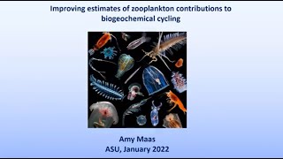Improving estimates of zooplankton contributions to biogeochemical cycling