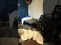 defying the light