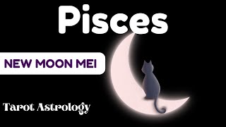 Pisces Special New Moon Mei 💫 Penuh komunikasi dan negosiasi