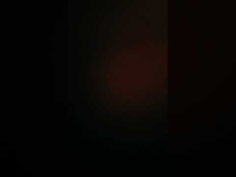 Music Remix Pageforyou Funny Lifeisbutadream Cat Comedy سبسکرايب Cow Facts 