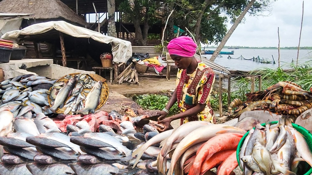 Badagry Seafood Market, Lagos Nigeria. Exploring Prices of Dry & Fresh Fish, Coconut, and More
