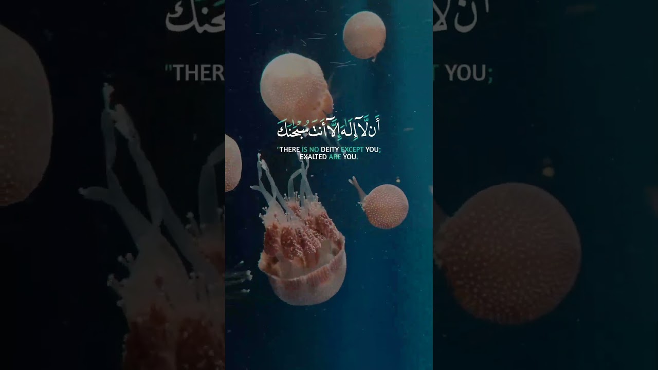 قصة يونس في بطن الحوت بصوت يملأ القلب إيمانًا | تلاوة خاشعة للشيخ عبد الباسط