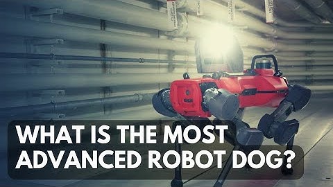 Top 5 SpotMini Robot Dog Alternatives