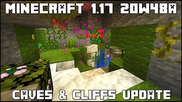 Minecraft 1.17 - Snapshot 20w48a - Waiting For The Snapshot To Release!