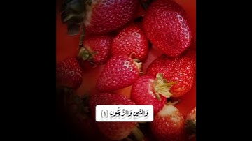 سورة التين بصوت القارئ عبد الرحمٰن مسعد، حالات واتس آب.