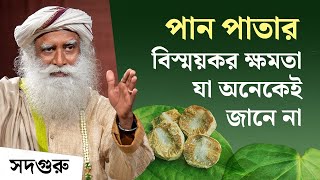 পান পাতার অসাধারণ উপকারিতা - যা অনেকেই জানে না | Incredible Benefits of Betel Leaf & Nut