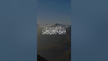 سورة القارعة .. القرآن الكريم حالات واتس اب دينية