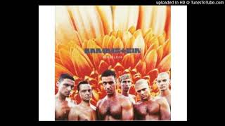 Video thumbnail of "Rammstein - Heirate Mich (Official Audio)"