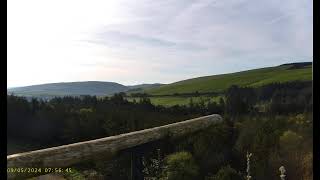 Llyn Clywedog: 2 Osprey Perch🌙08/05/24