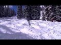 Mogul skiing bstead on gandy at winter park mary jane