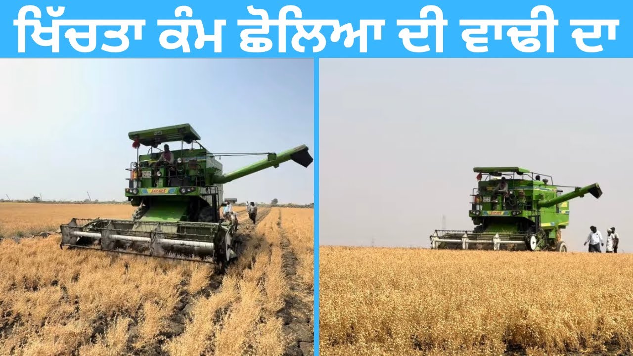 #combine-Chickpea harvesting begins with Jeet combine