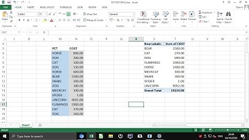 Microsoft Excel 2013 on the Raspberry Pi 4