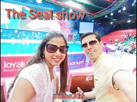 Dophin and Seal show at Dubai Dolphinarium