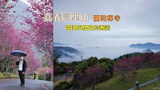 櫻花下的雲海仙境就在阿里山公路上的彌陀禪寺，雲霧飄渺在 ... 