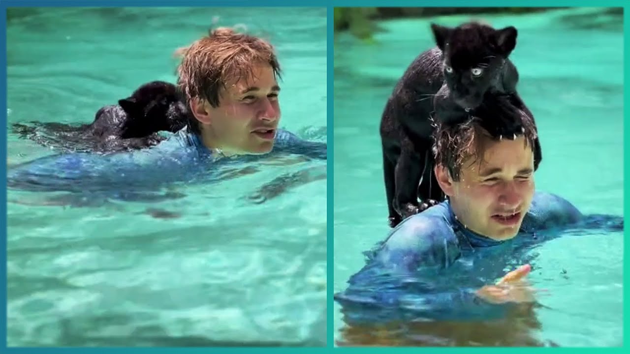 Random Acts of Kindness That Will Make You Cry !