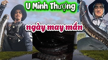 Câu cá lóc U Minh Thượng, chuyến đi may mắn đụng toàn cá to || Vinh Ròm Fishing