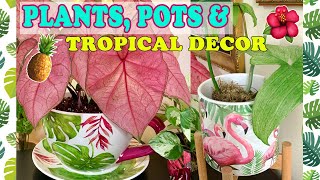 Plants 🌿Pots 🌻& Tropical Decor Tour 🌺🍍🏡