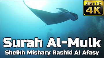 Surah Al Mulk FULL 4K سورة الملك: Sheikh Mishary Al Afasy مشاري العفاسي - English Translation