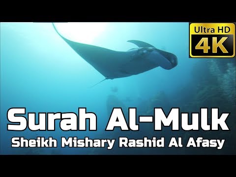 surah-al-mulk-(asmr)-سورة-الملك:-sheikh-mishary-al-afasy-مشاري-العفاسي---english-translation