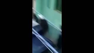 بالفيديو قوات الشرطة تداهم شقة دعارة