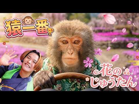 コンビを組んで1ヶ月、猿一番❤️ 