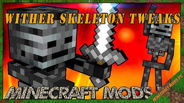 Wither Skeleton Tweaks Mod 1.16.5/1.15.2/1.12.2 & How To Download and Install for Minecraft