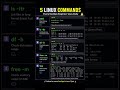 5 Linux Commands Every DevOps Engineer Uses 🚀#linux #devops #aws
