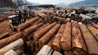 Amazing Sawing Technology That Processes Massive Logs Into Premium Timber