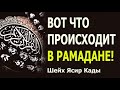 Вот что происходит в Рамадане! Ясир Кады