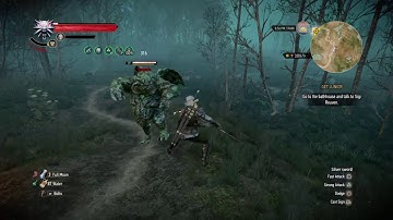 Gargoyle Fight The Witcher 3 Wild Hunt