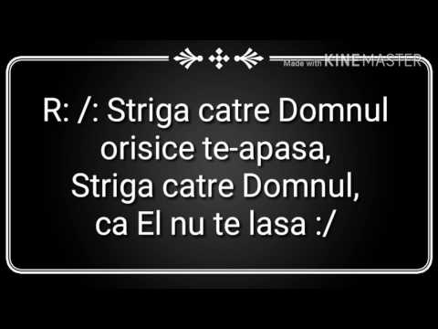 Video: Există un pozitiv și un negativ pe o siguranță?