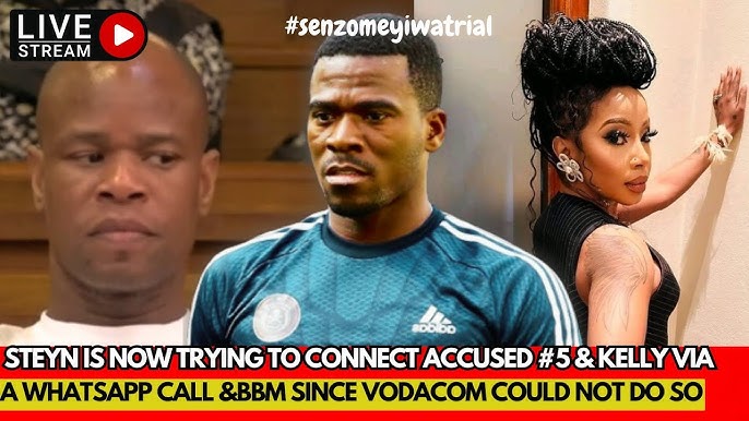 Senzo Meyiwa Trial: Steyn comes and tell us about internet calls which app it is not mentioned - YouTube