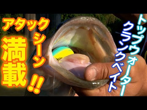 バス釣り】トップウォータークランクでのアタックシーン満載 【VINTER