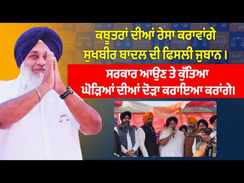 ਕਬੂਤਰਾਂ ਦੀਆਂ ਰੇਸਾ ਕਰਾਵਾਂਗੇ ਸੁਖਬੀਰ ਬਾਦਲ ਦੀ ਫਿਸਲੀ ਜੁਬਾਨ । ਸਰਕਾਰ ਆਉਣ ਤੇ ਕੁੱਤਿਆ ਘੋੜਿਆਂ ਦੀਆਂ ਦੋੜਾ ਕਰਾਇਆ..