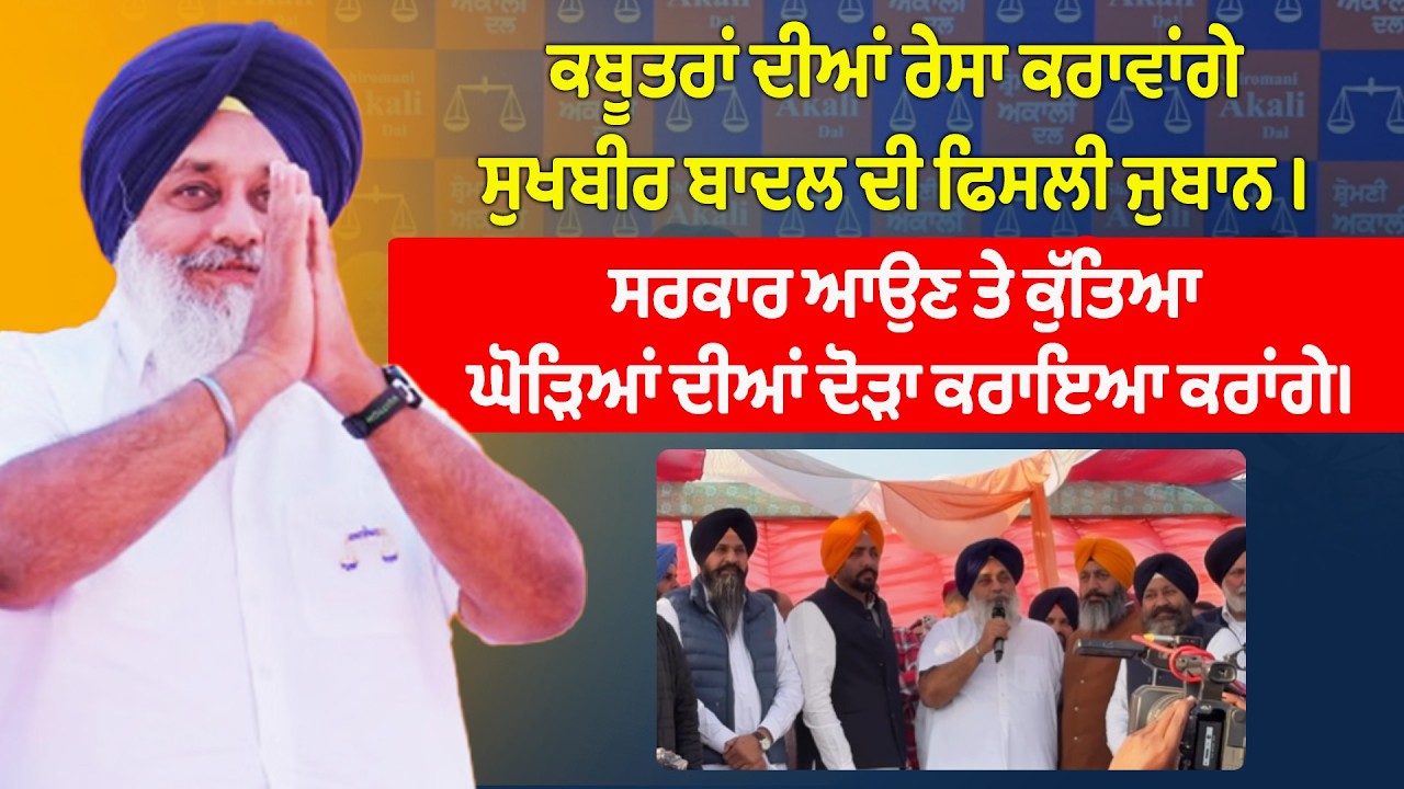 ਕਬੂਤਰਾਂ ਦੀਆਂ ਰੇਸਾ ਕਰਾਵਾਂਗੇ ਸੁਖਬੀਰ ਬਾਦਲ ਦੀ ਫਿਸਲੀ ਜੁਬਾਨ । ਸਰਕਾਰ ਆਉਣ ਤੇ ਕੁੱਤਿਆ ਘੋੜਿਆਂ ਦੀਆਂ ਦੋੜਾ ਕਰਾਇਆ..