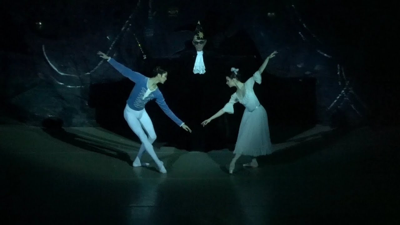 세상에서 가장 아름다운 파드되 - 전민철  & 마리아 호레바