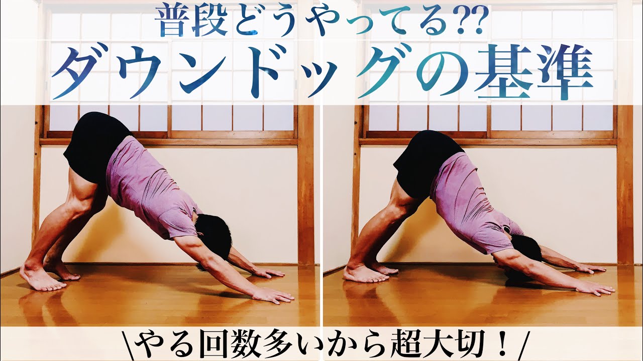 【超重要アーサナ】なんとなくやってない??ダウンドッグの形の秘密