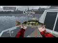 Взломанный Ultimate fishing