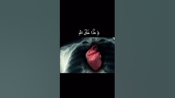 ﴿هذا خَلقُ اللَّهِ…﴾ #تلاوة #اكسبلور #قرآن #تلاوات #سورة_لقمان #تلاوة_خاشعة #راحة_نفسية #قرآن_كريم