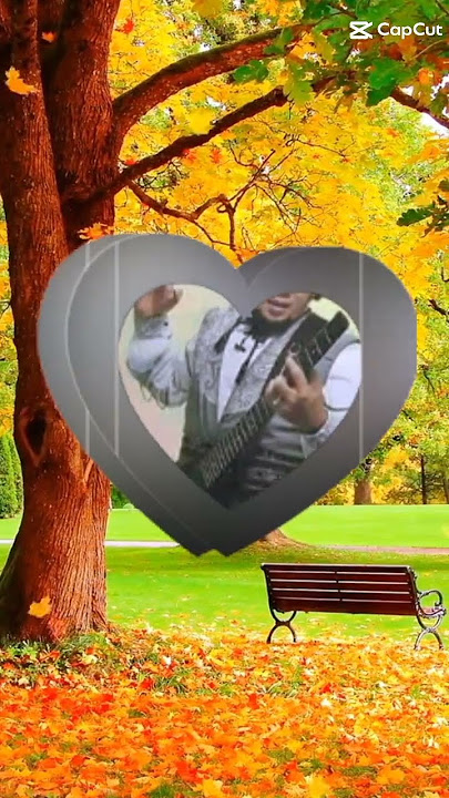 #suratan#dangdut#original#rhoma irama#soneta#capcut#shorts