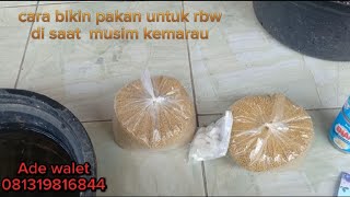 cara bikin pakan untuk di rbw di saat musim kemarau