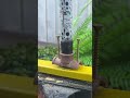 I Used a Plumbing Connection to Fix My Broom! #DIY #HomeHacks #InnovativeSolutions