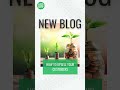 Upselling Ideas for Your Lawn Care Customers