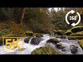 Virtual Nature Relaxation - VR 360° 5K Video - Stones of the Skagit River - WA State, USA