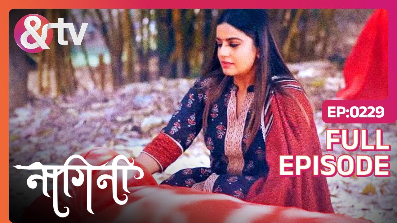 Kon जंगल में पैर Rakhne वाली Hai ?| Nagini | Full Ep 229|31 Dec 23|Shivani | @andtvchannel