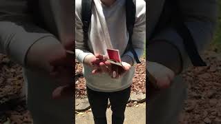 Horizon - Interlock Sequence (Cardistry Practice)