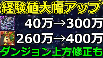 パズドラ 土日ダンジョン 経験値