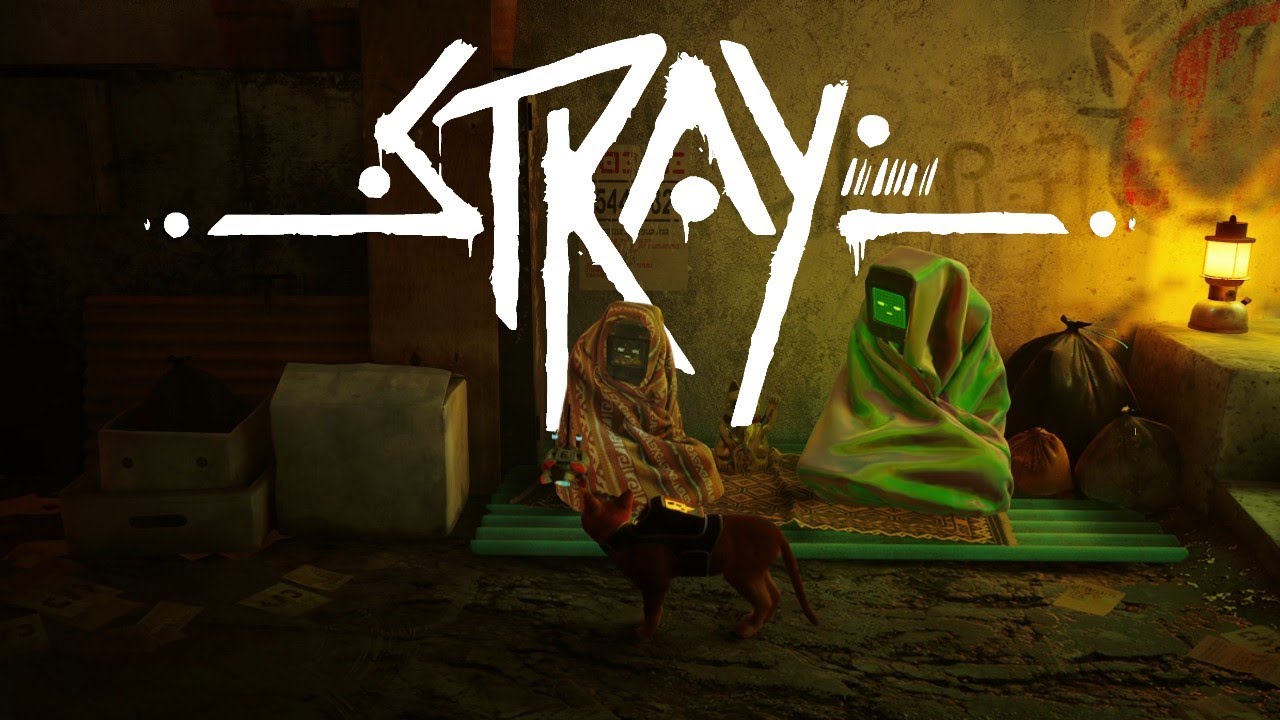 Vom Kabel zum Poncho | Stray #06