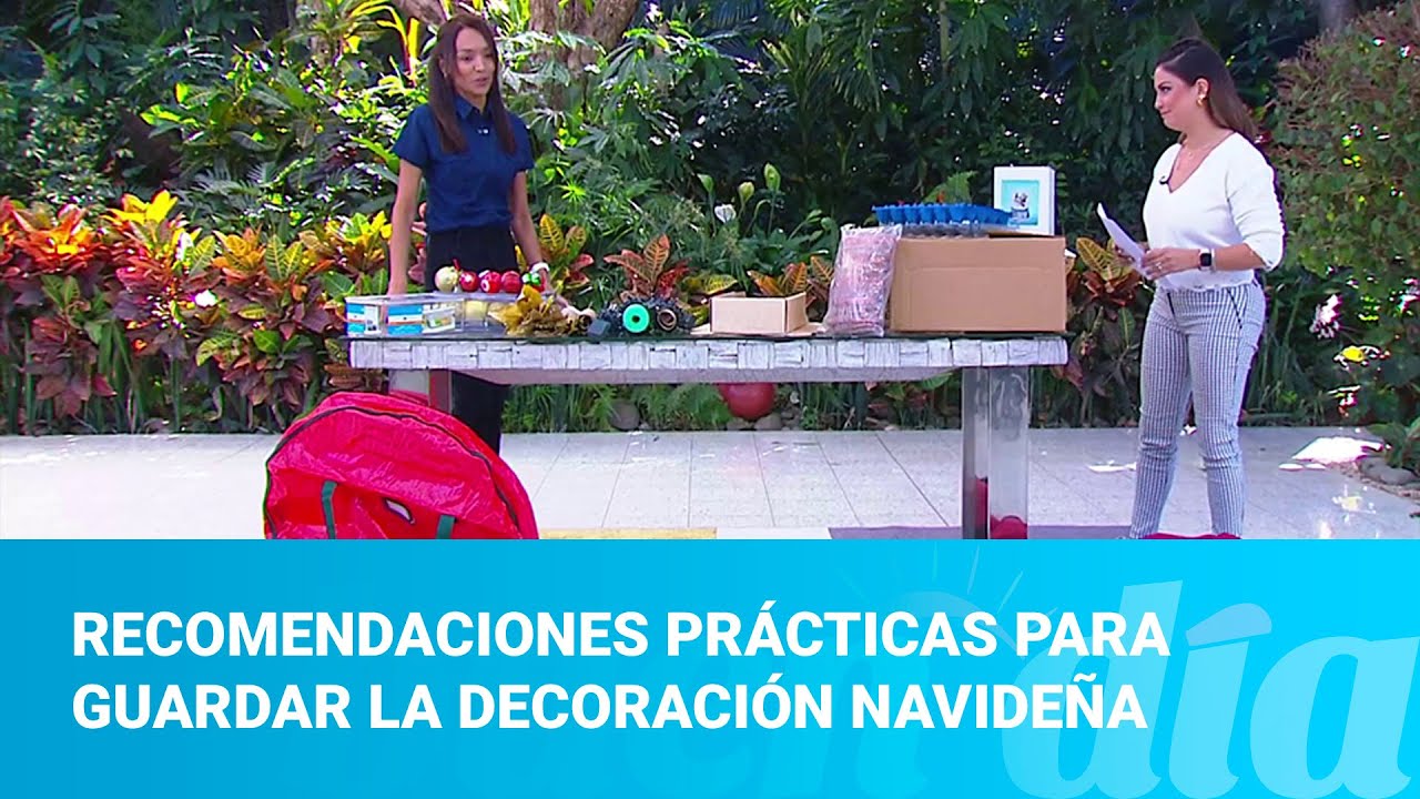 Recomendaciones prácticas para guardar la decoración navideña - YouTube