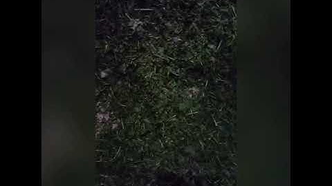 CTC rotorvane machine